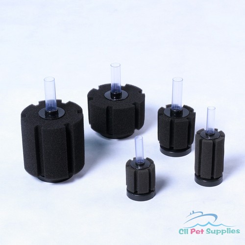 Bio sponge filter breeding - bio, fry
